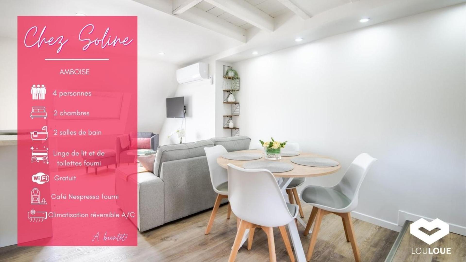 Chez Soline - Le Duplex Climatise أمبُواز المظهر الخارجي الصورة