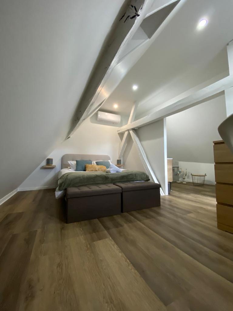 Chez Soline - Le Duplex Climatise أمبُواز المظهر الخارجي الصورة